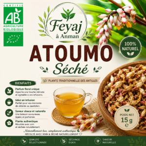 Feuilles et fleurs d’Atoumo bio séchées. Ti Soulagé 50g Vrac